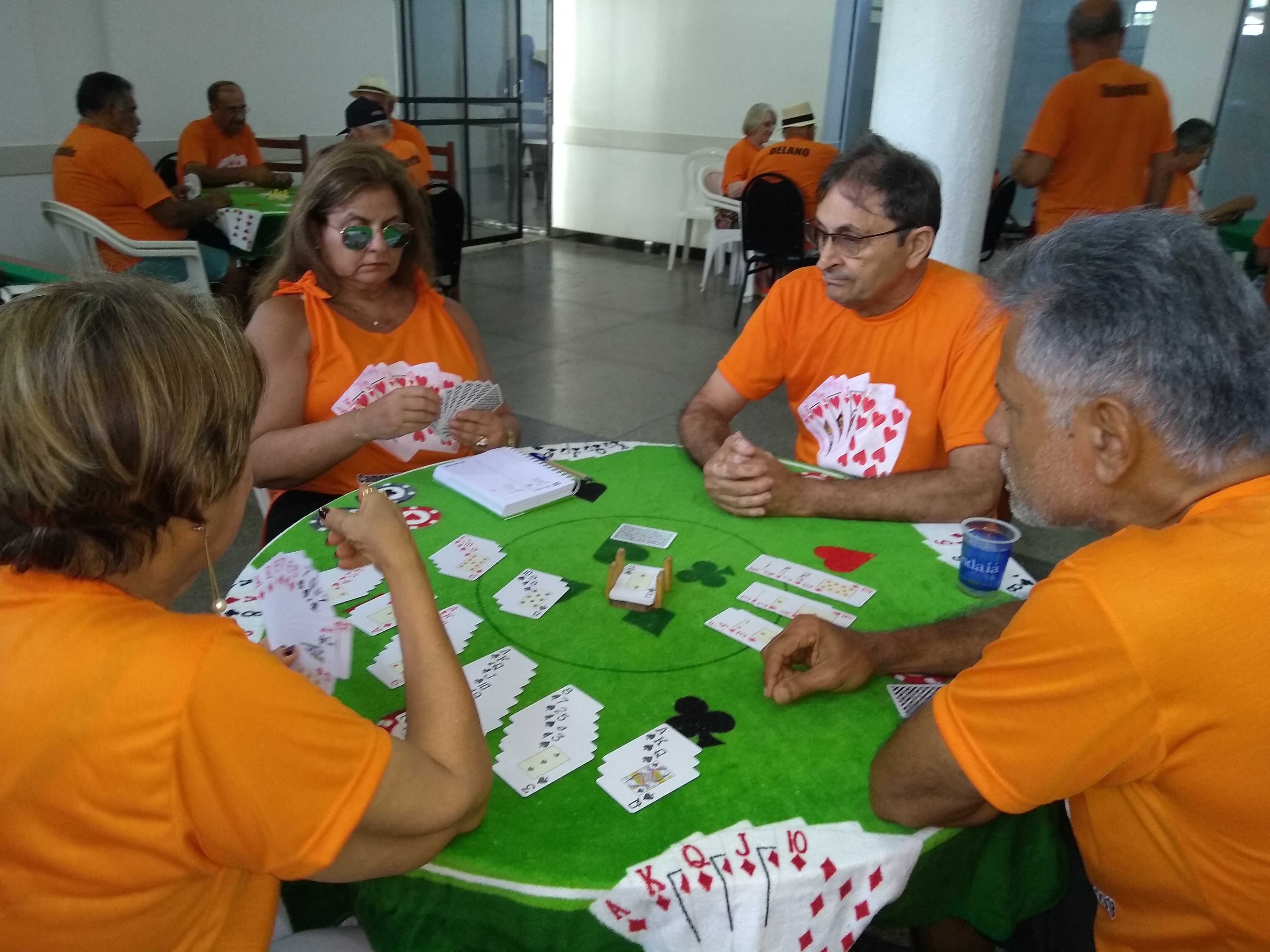 IMG_20181215_142248784.jpg